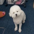 미블리,뷰티 | 동탄 속눈썹펌 잘하는 곳, 조용하게 관리받기 좋았던 미블리브로우 솔직 후기