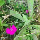 초대박공인중개사사무소 이미지