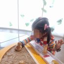 부산해양박물관 | 부산동래여행 아이와 부산해양자연사박물관 후기