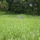 충북산소 이미지