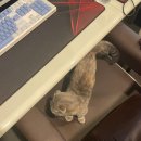 아이디온PC카페 이미지