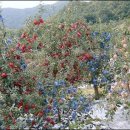 경동농장 이미지