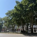 일등세탁소 | 납작복숭아 아이스아메리카노 만들어 마시기 다미켈레 맛집후기 맥도날드 젤라티 마비스치약기념품