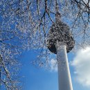 카이스트 | 카이스트 합격 면접 후기