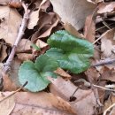 재왕 농장 이미지