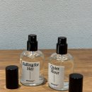 콰이엇모먼트 | 모렌27 향수 후기 | 새벽향수 콰이어트아워, 설레는 짝사랑향수 폴링포허