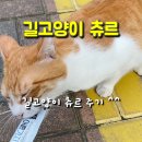 츄르츄르