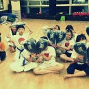 용인대 태권얍 이미지