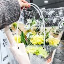 리빙시스 네이버블로그