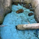 경주부화장 이미지