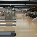 몬스터볼볼링장 네이버블로그