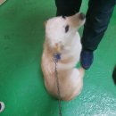 열우물로 이미지