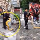 도심공원 이미지