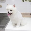 쁨 쁨 이미지