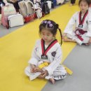 삼성유아태권도 이미지
