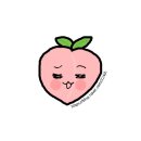 맘마누 | 강아지 생일 케이크 - 맘마 잘 만드는 파티쉐 누나(맘마누) 블루베리개이크, 개카롱