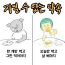 북면점핑다이어트