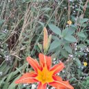 난지한강공원 거울분수 이미지