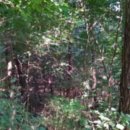 광천읍 상정마을회관 이미지