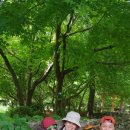 팔당역 예봉산 등산로 입구[팔당-3] 이미지