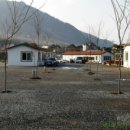 초록슈피아 캠핑장 이미지