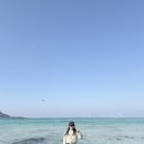 애월해안로 | 갑자기 제주도로 떠난 건에 대하여