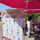 오복다육 | 함평나비축제 방문 후기(1)(입장료, 주차장, 일정, 체험존, 먹거리, 황금박쥐 등)