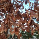 대구종합유통단지 전자상가 이미지