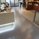 하이댕댕 이미지