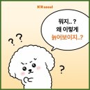 크크 서울 의원 실리프팅 후기로 알아보는 얼굴 라인 탄력 관리법!
