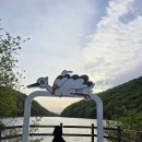 (주)제이렌트카 | 🌿 예산 살목지 트레킹 후기🔥 (힐링인 줄 알고 갔다가… 괜히 쫄았다😅｜영화 촬영지)