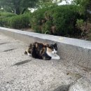 영민크리닝 | 시험기간, 그 이후