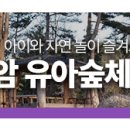 부여 유아숲체험원 이미지
