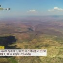 셀람