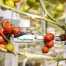 김용환농장 이미지