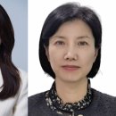 이리드 이미지