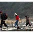 봄 꽃 피는 섬진강 기행에 참가하시는 길벗 이미지