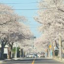 표선동서로 이미지