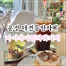 알로애꽃집 | 마이데이플라워카페 | 파주 운정애견동반카페 추천 (상주견 있음)
