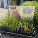 현대종묘사 이미지