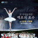 양운로 | 부산 해운대문화회관 빈 국립발레단 백조의 호수 공연 정보(온 스크린 콘서트)