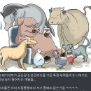 청래농장 네이버블로그