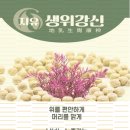 지유명차표선점