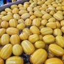 보화농장 이미지