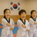 브레인태권도장 이미지