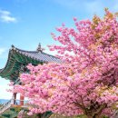 꼬시네 돈가스 | 속초사주.속초운세.속초용한유명무속인신점.속초용한점집.속초천계심보살 위치안내...신점상담전문가...