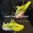 나이키 보메로 17 &#39;탈라리아&#39; 사용 후기! 쿠셔닝과 스타일을 모두 잡다!