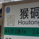 고양이 마을 이미지