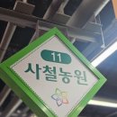 사철농원 | 양재동 꽃시장 사철농원 서양란 호접란 동양란 선물하기 좋은 꽃집 추천