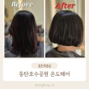 동탄호수공원 단발펌 잘하는 미용실 온도헤어 후기